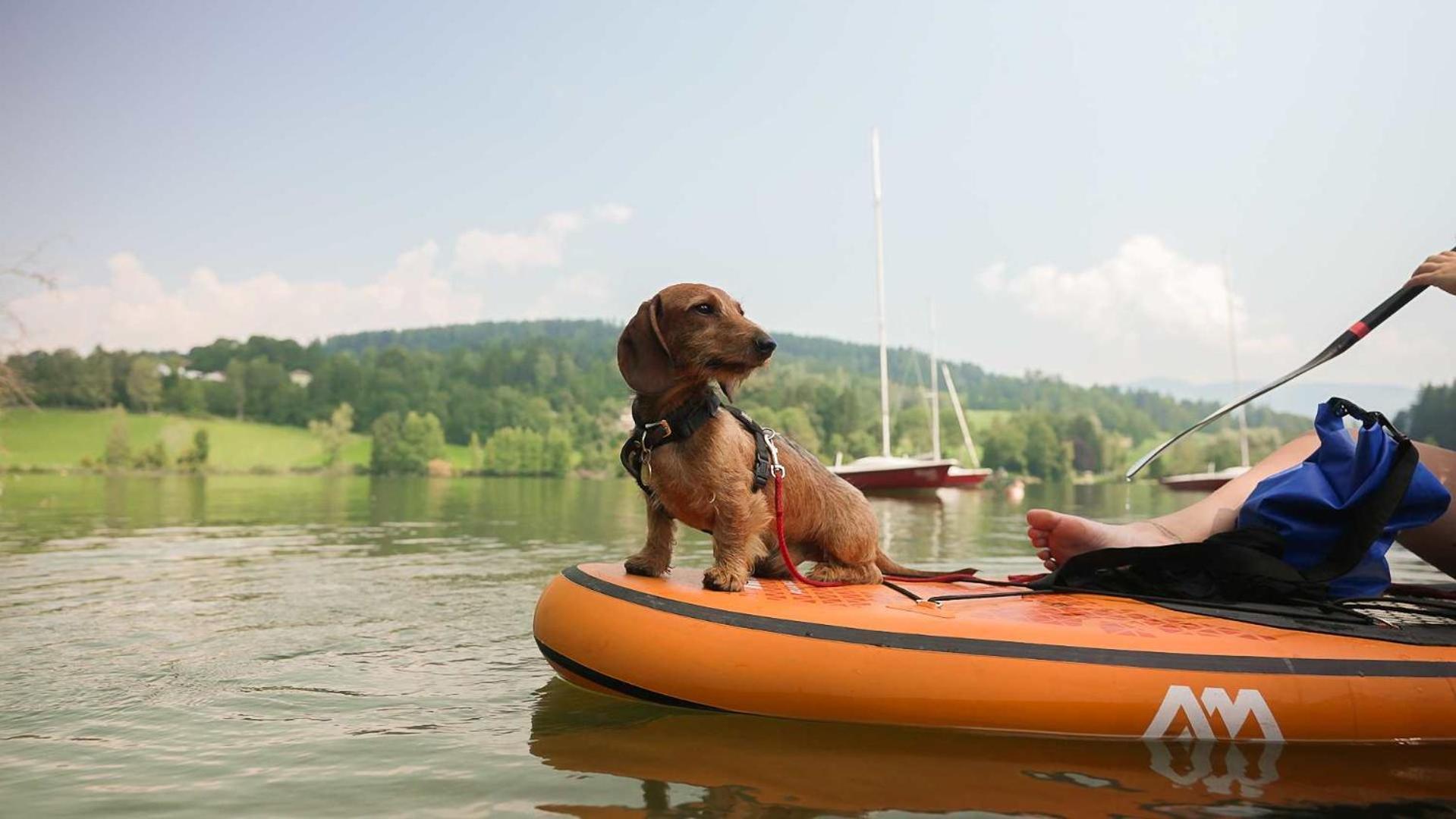 Feriendorf Am Maltschacher See Feldkirchen In Kaernten Bagian luar foto